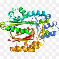 �߲����鱦�л��������-�߲�-������