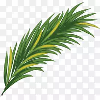 ��ɫˮ�ʻ�Ҷ-�򵥵��̲�-������