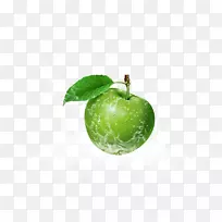 ʷ��˹����ƻ���¸���˹ƻ��-������