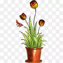 �����㻨������-������-������