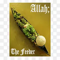 摄影八一-空若网 摄影八一-空若网