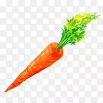 胡萝卜蔬菜手绘胡萝卜-空若网 胡萝卜蔬菜手绘胡萝卜-空若网