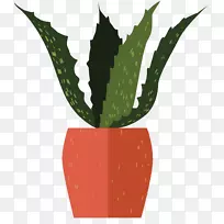 芦荟-深绿芦荟盆景-空若网 芦荟-深绿芦荟盆景-空若网