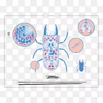 平面设计绘画剪贴画设计-空若网 平面设计绘画剪贴画设计-空若网