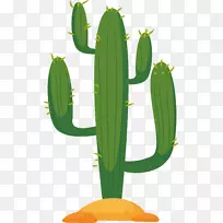 沙漠中仙人掌科植物-沙漠仙人掌-空若网 沙漠中仙人掌科植物-沙漠仙人掌-空若网