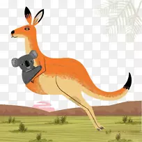 考拉澳大利亚袋鼠图-袋鼠-空若网 考拉澳大利亚袋鼠图-袋鼠-空若网