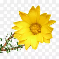 花束黄花剪贴画-向日葵-空若网 花束黄花剪贴画-向日葵-空若网