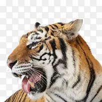 µ¥Ô´¿§·È²è¿¨²¼ÆæÅµ¿§·È-ÀÏ»¢-¿ÕÈôÍø µ¥Ô´¿§·È²è¿¨²¼ÆæÅµ¿§·È-ÀÏ»¢-¿ÕÈôÍø