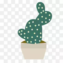 仙人掌科仙人掌-空若网 仙人掌科仙人掌-空若网