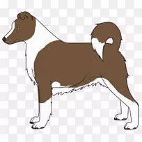 意大利灰狗犬鼻子-小狗-空若网 意大利灰狗犬鼻子-小狗-空若网