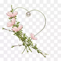 花卉设计切花花束植物茎花-空若网 花卉设计切花花束植物茎花-空若网