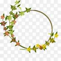 Ö¦ÌõÖ²Îï¾¥ÌåÖ鱦Ҷ-¿ÕÈôÍø Ö¦ÌõÖ²Îï¾¥ÌåÖ鱦Ҷ-¿ÕÈôÍø