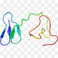 �ߵ������-��-������