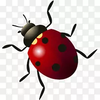 ư��-�׳�-������