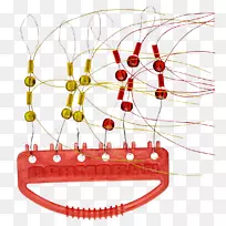 W?dkarstwo morskie�������ƽ��ʲ���-������