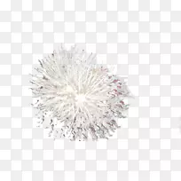 Adobe烟花银-银烟花-空若网 Adobe烟花银-银烟花-空若网