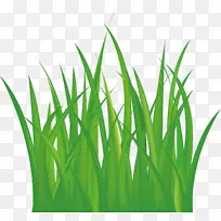 �ݵز�-������