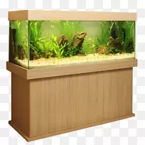 鱼礁水族馆-空若网 鱼礁水族馆-空若网