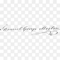 眼牌线设计-空若网 眼牌线设计-空若网