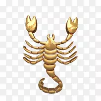 天蝎座星座占星术金牛座-空若网 天蝎座星座占星术金牛座-空若网