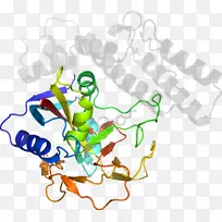 ƽ������ߵ��������-������