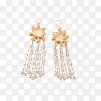 ���������װ�鱦����-������