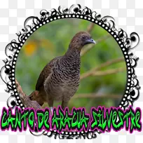 Android唱歌截图海报-Android-空若网 Android唱歌截图海报-Android-空若网