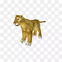 大猫陆生动物野生动物-猫-空若网 大猫陆生动物野生动物-猫-空若网