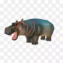 河马,犀牛,陆生动物,野生动物,鼻子-空若网 河马,犀牛,陆生动物,野生动物,鼻子-空若网