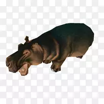 ��������Ұ������-������