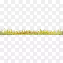 �̲�-������