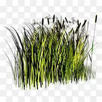 秸秆剪贴画-空若网 秸秆剪贴画-空若网