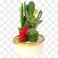 ���Զ�����辰�����ƿ�����������-������