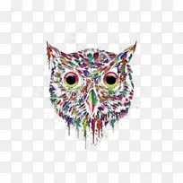 小猫头鹰t恤鸟色猫头鹰化身-空若网 小猫头鹰t恤鸟色猫头鹰化身-空若网