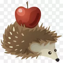 刺猬动画剪贴画刺猬-空若网 刺猬动画剪贴画刺猬-空若网