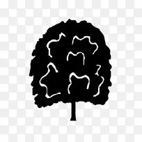 ������Ϊ����������-������