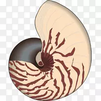 ��ѧ������-����-������