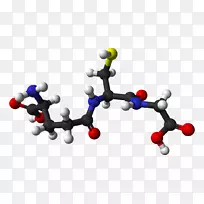 谷胱甘肽抗氧化细胞氧化还原自由基-空若网 谷胱甘肽抗氧化细胞氧化还原自由基-空若网