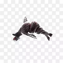 ���ݵ���ͼ��-Ť������-������