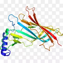 �ߵ������������-������