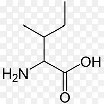 ���ǽ���������֧��������-������