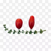 ӣ�ҷ��Ѻ���֬�����߲˺췬��-������