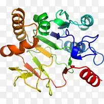 线点生物剪贴画线-空若网 线点生物剪贴画线-空若网