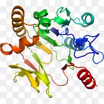 人体首饰有机体线剪贴画线-空若网 人体首饰有机体线剪贴画线-空若网