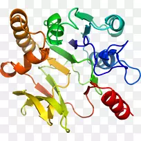 人体首饰有机体线剪贴画线-空若网 人体首饰有机体线剪贴画线-空若网