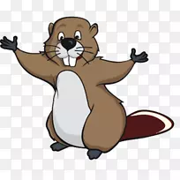 �滭��ͨ-������