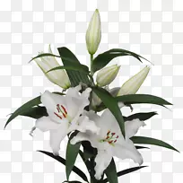 �ٺ��л��ٺϻ��������-������