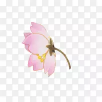 切花粉红色花瓣花-空若网 切花粉红色花瓣花-空若网