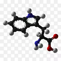 ɫ���ᰱ���ᱽ�����������칹��-������