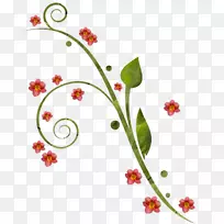 花卉设计装饰画-空若网 花卉设计装饰画-空若网